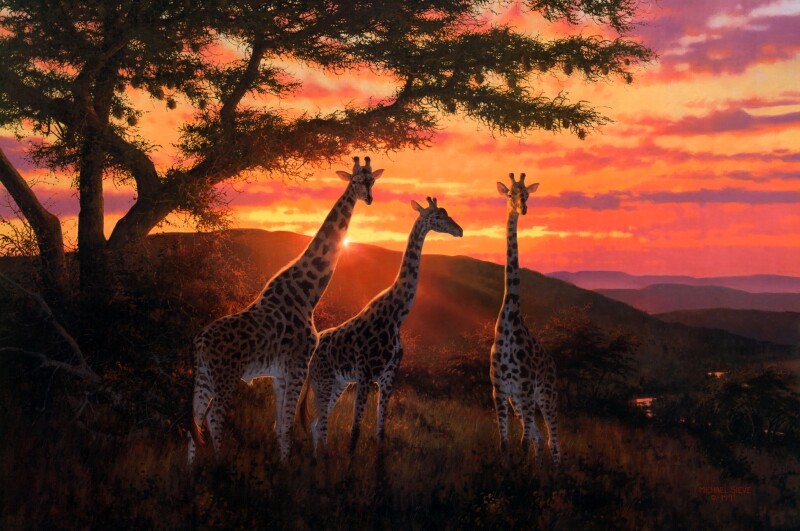 Giraffe_0170.jpg