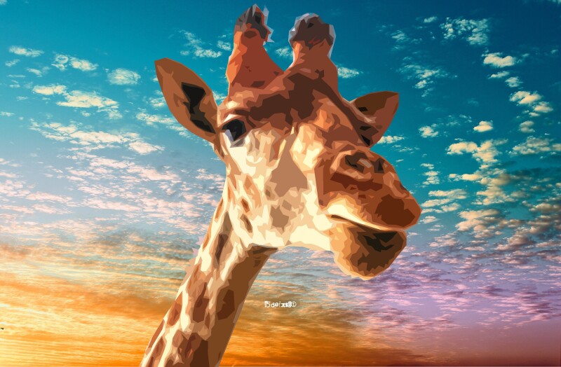 Giraffe_0206.jpg