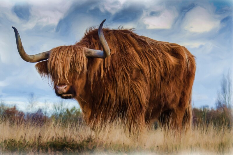 Cow_0198.jpg