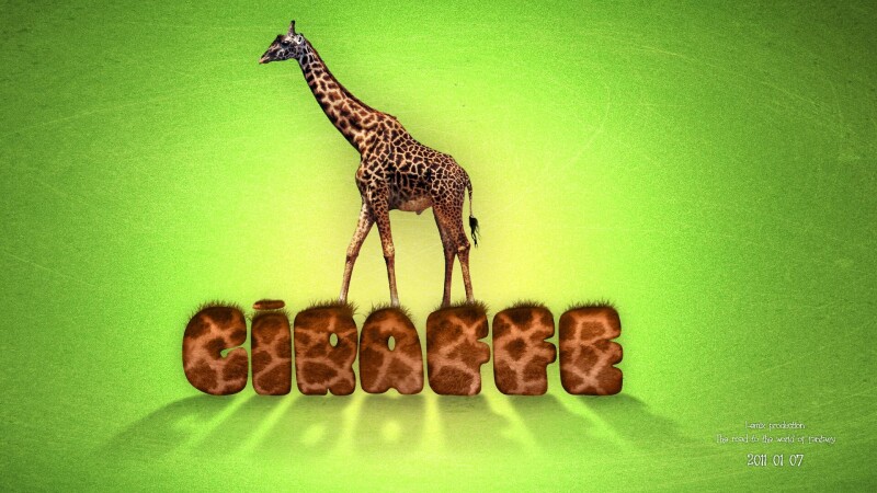 Giraffe 0073