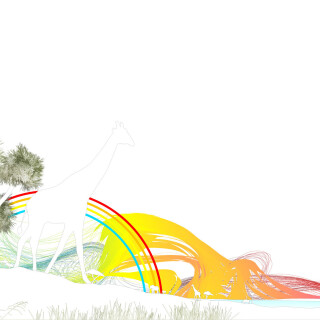 Giraffe_0173