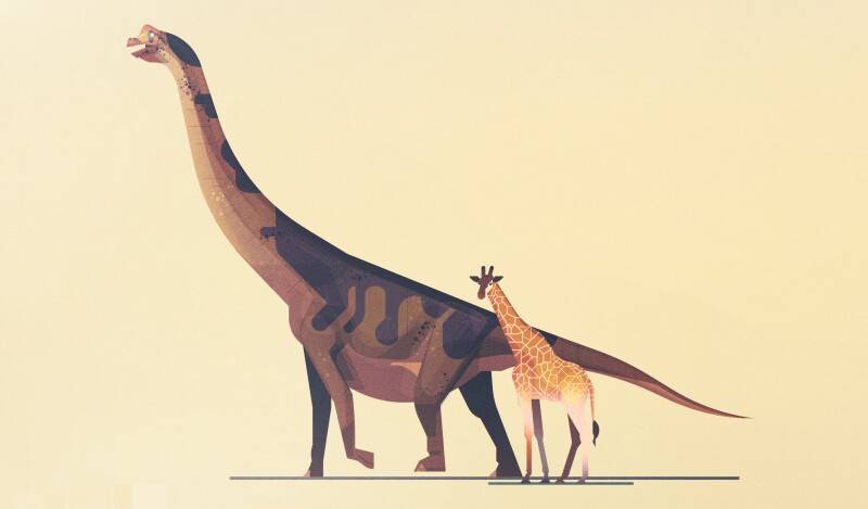 Giraffe_0204.jpg