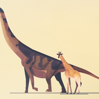 Giraffe_0204