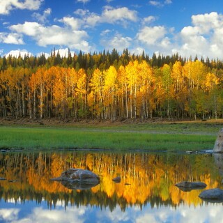 Reflection_0126