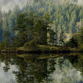 Reflection_0716