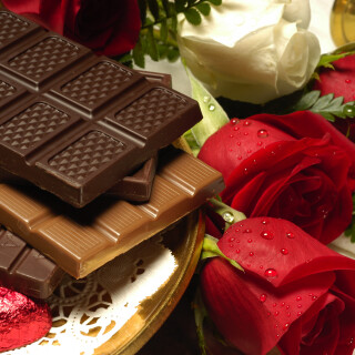Rose_1550