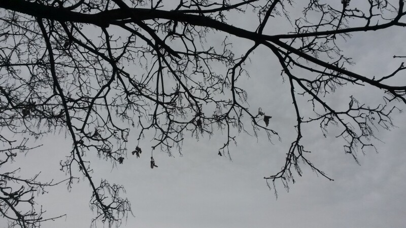 Sky_0131.jpg
