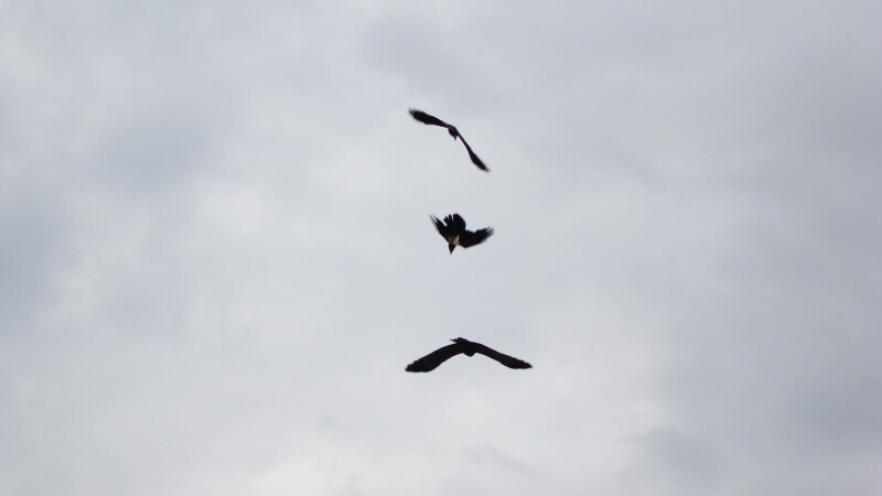 Sky_0150.jpg