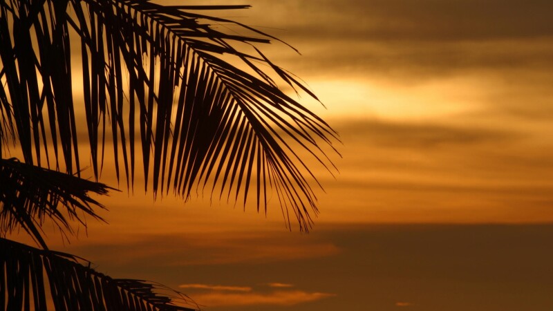 Sky_0249.jpg
