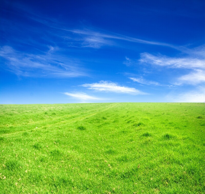 Sky_0260.jpg