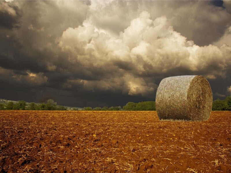 Sky_0514.jpg