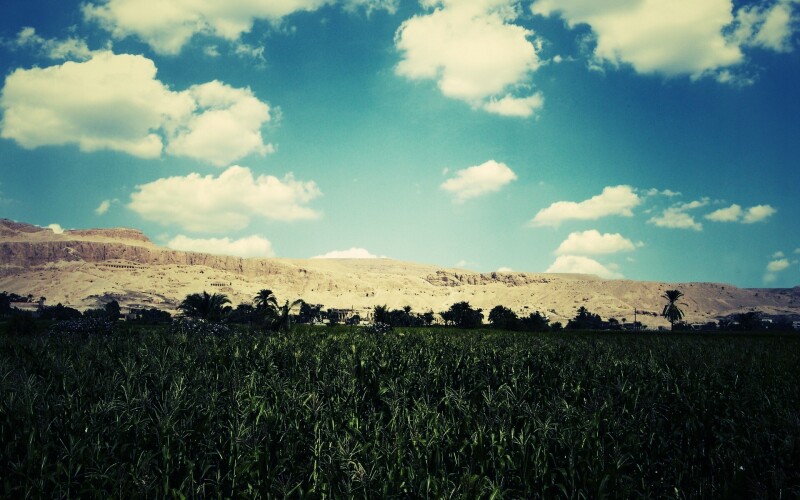 Sky_0529.jpg
