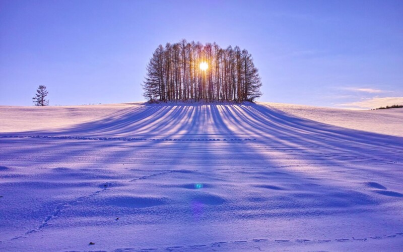 Winter_0075.jpg