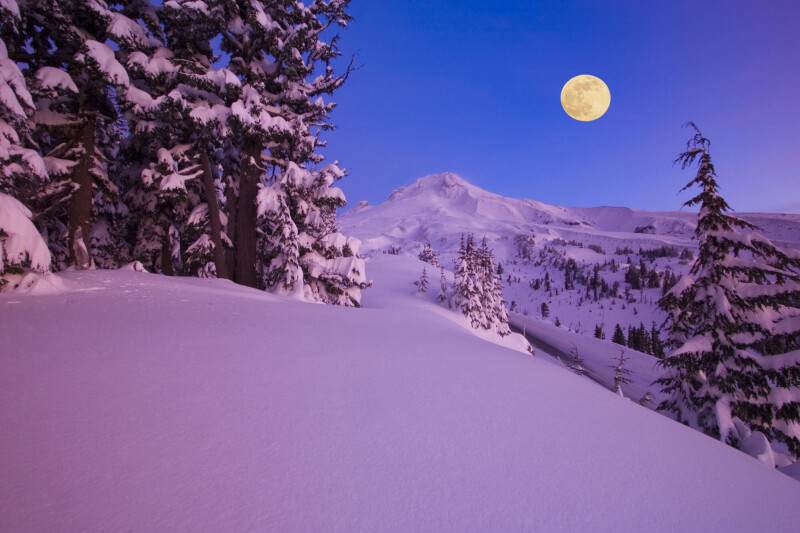 Winter_0082.jpg