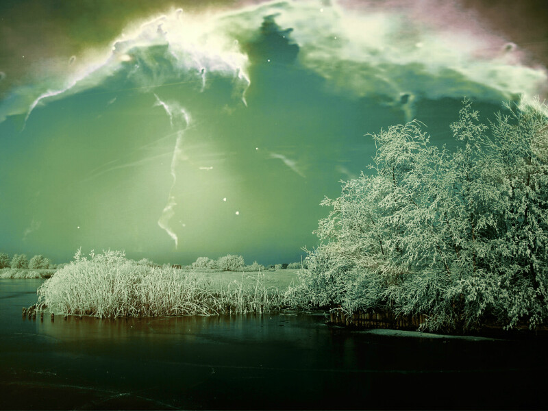 Winter_0408.jpg