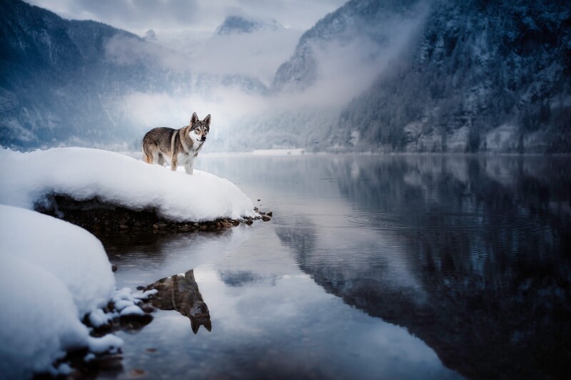Winter_1402.jpg