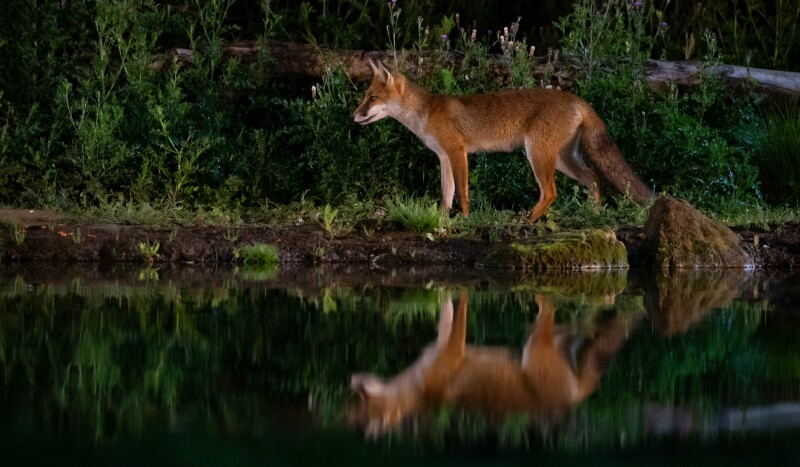 Reflection_1301.jpg