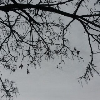Sky_0131