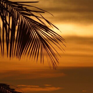 Sky_0249