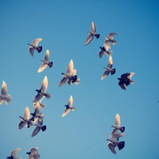 Sky_0449