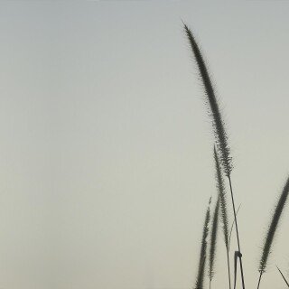 Sky_0859