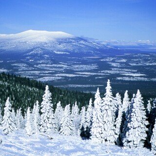 Winter_0046