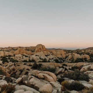 Desert_0010