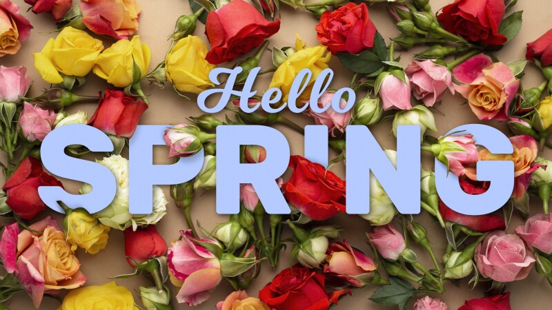 Spring_0005.jpg