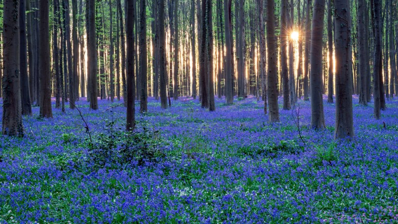 Spring_0112.jpg