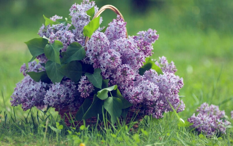 Spring_0322.jpg