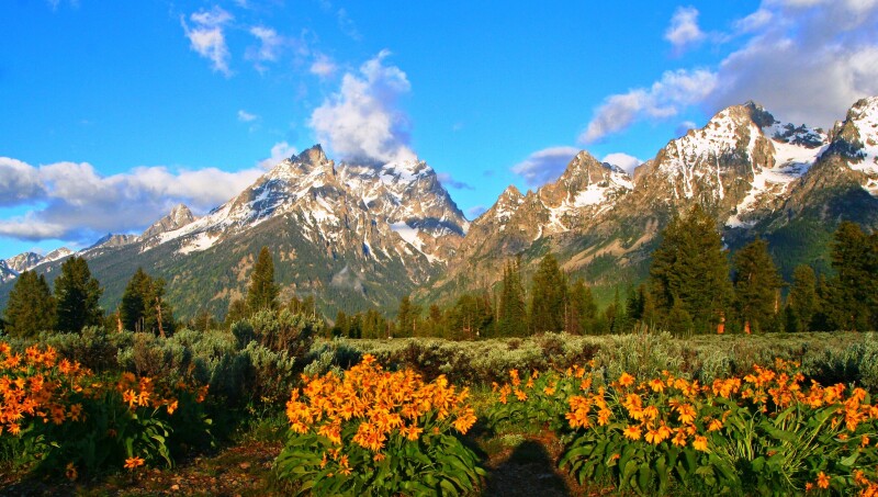 Spring_0372.jpg