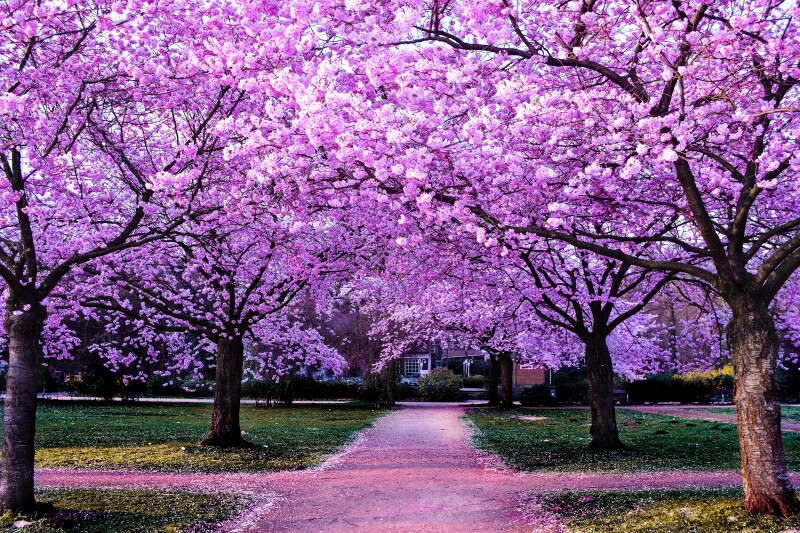 Spring_0674.jpg