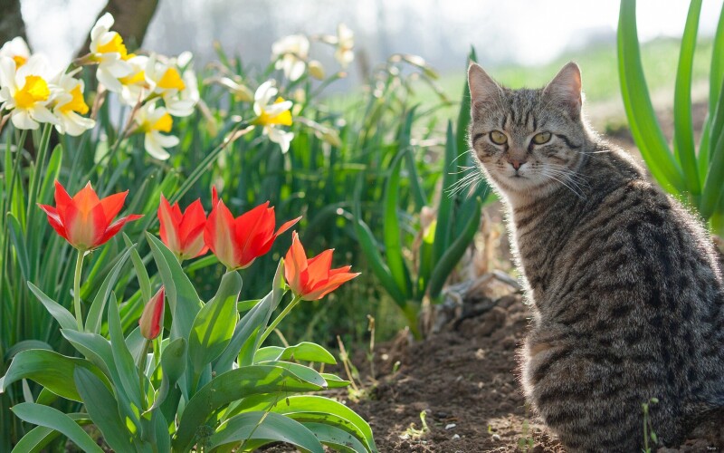 Spring_0733.jpg
