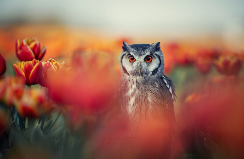 Spring_0797.jpg