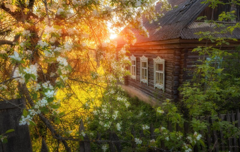 Spring_0826.jpg