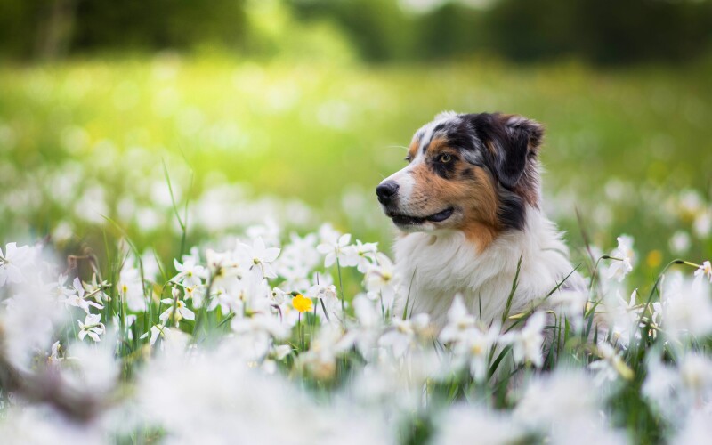 Spring_0831.jpg