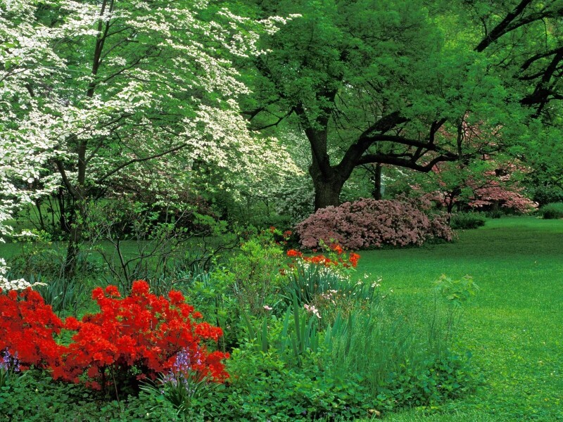Spring_1036.jpg