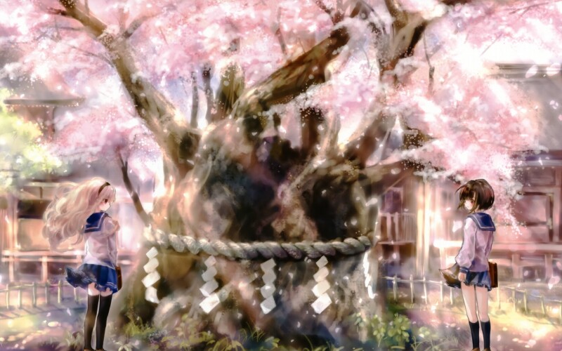 Spring_1104.jpg