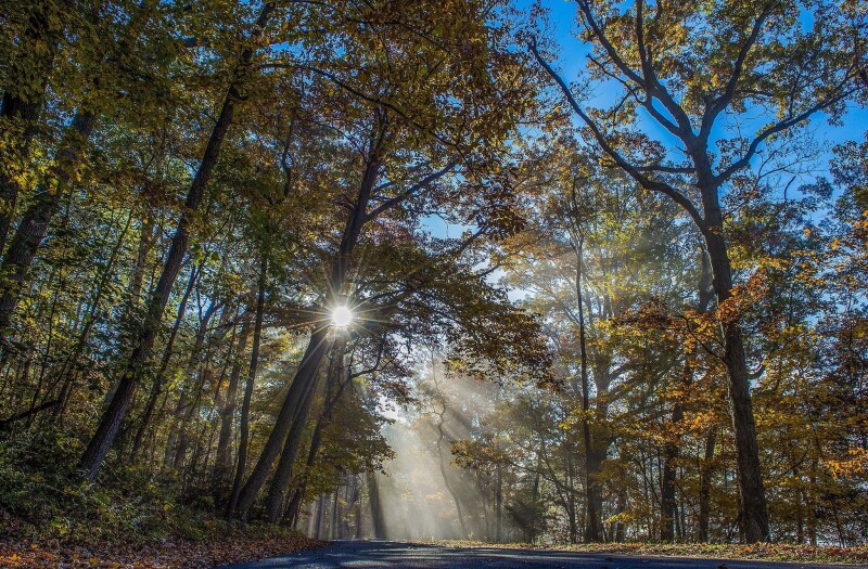 Sunbeam_0672.jpg