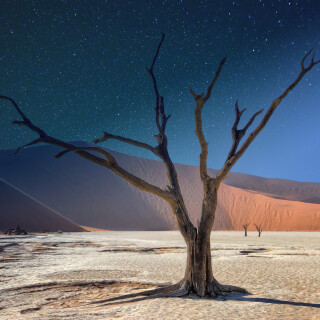 Desert_0525