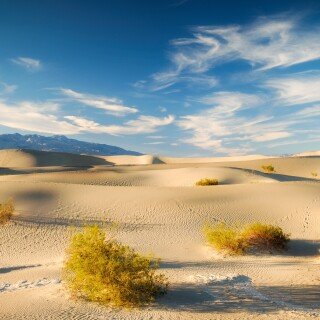 Desert_0892