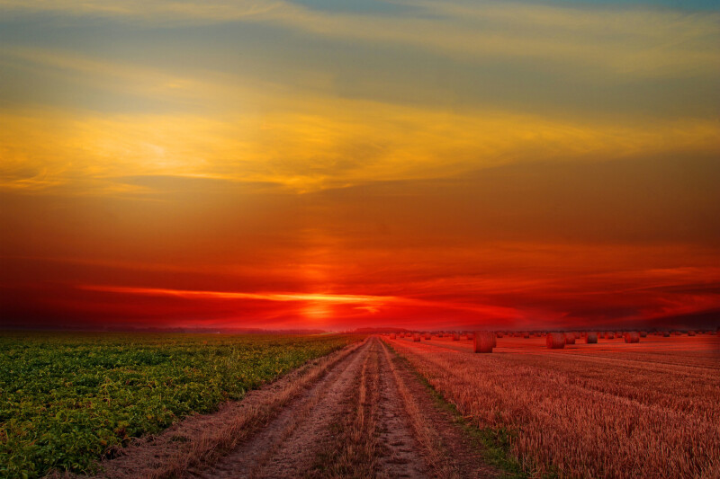 Field 0223