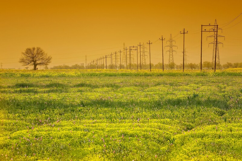Field 0675