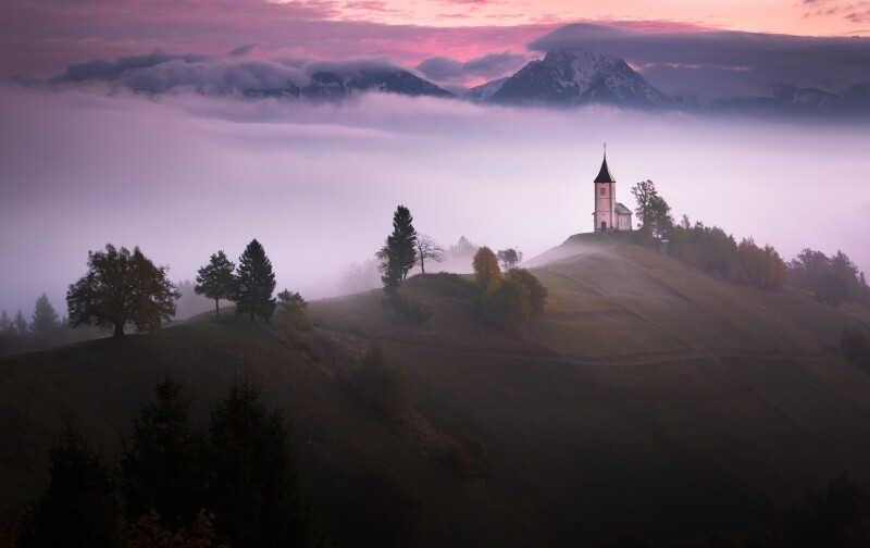 Fog 0353