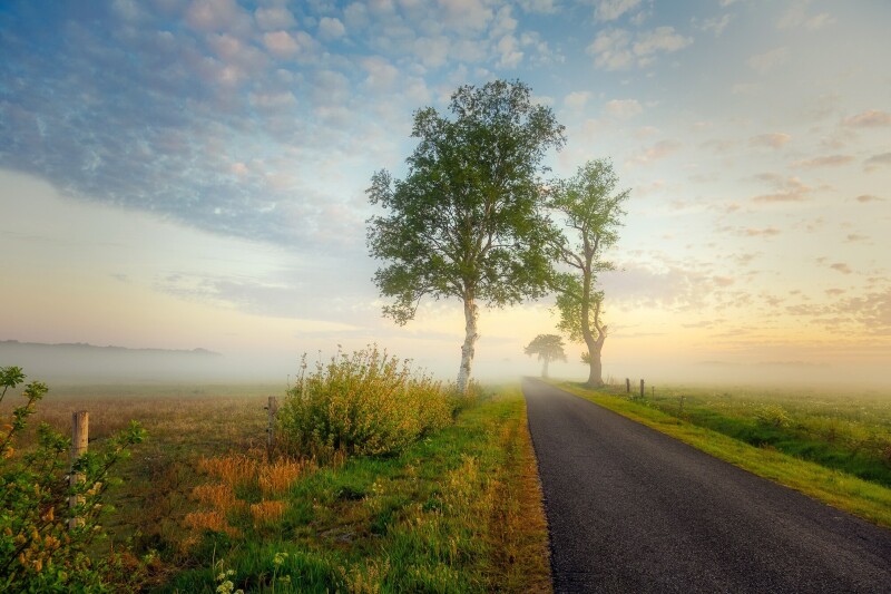 Fog 0804