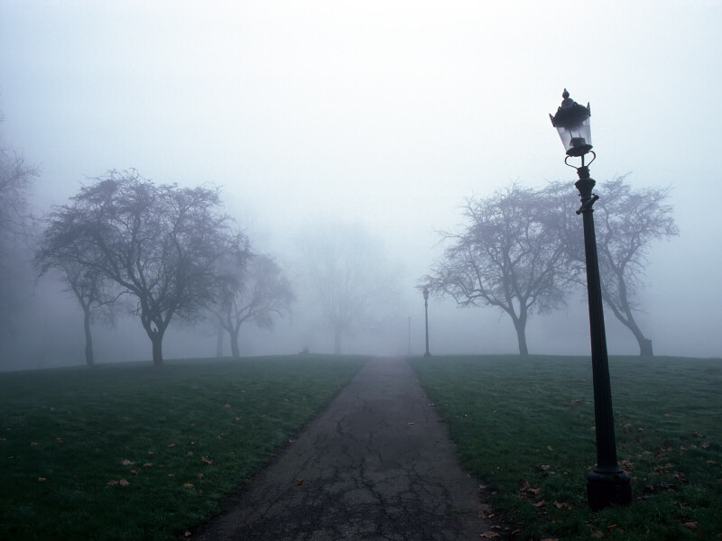 Fog 0869