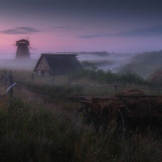 Fog_1305