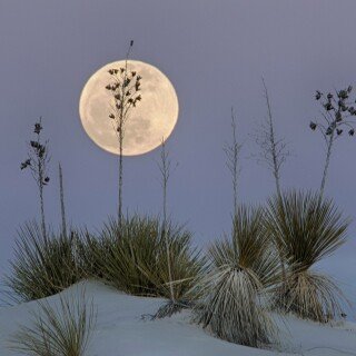 Moon_1411