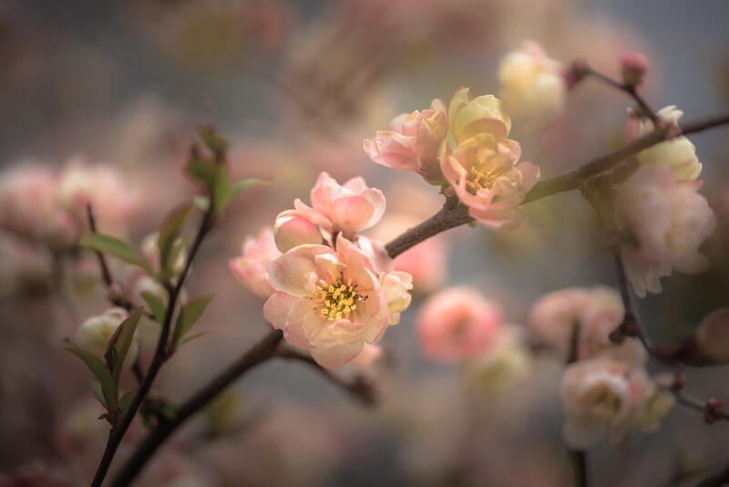 Spring_0338.jpg