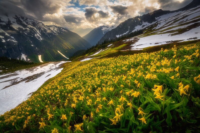 Spring_0377.jpg